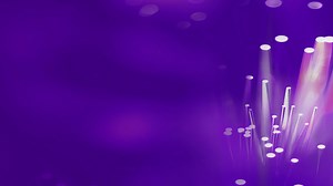 SAP risk, security, and controls