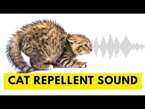 cat Repellent Sound | Can Make Your Cat Run Away