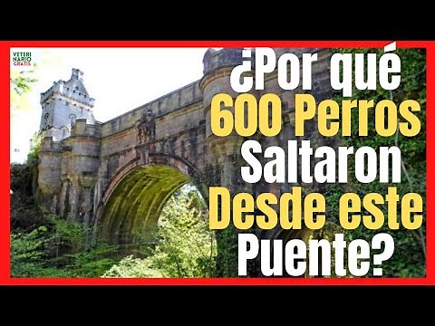🔱 The Mystery of the Overtoun Bridge Solved 🔱 and the Death of Hundreds of Dogs