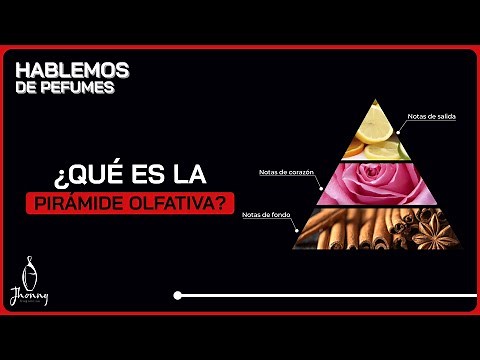 ¿Qué es la pirámide olfativa?