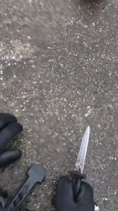 Ambush kill #spearfishing #fishing #scallops