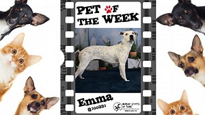 Pet Talk: Meet Emma
