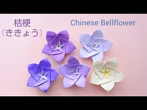 折り紙【桔梗(ききょう)】Origami flower(Chinese Bellflower)