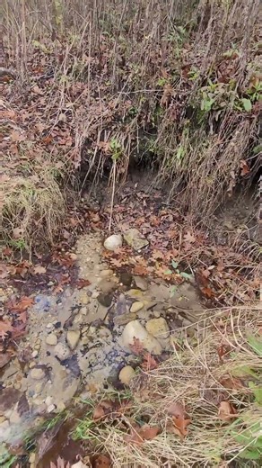 Hillside Spring #water #nature #shorts