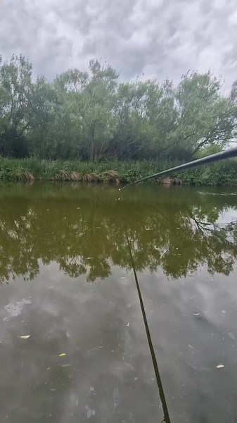 #paste #pole #matrixfishing #carp