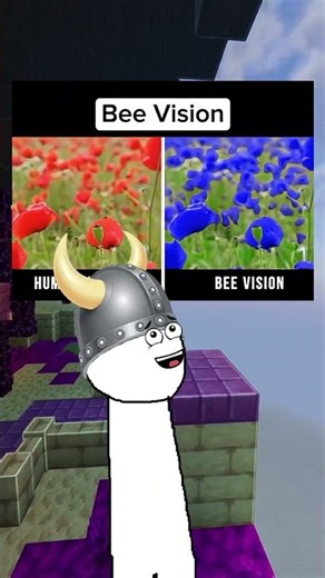 How Animals See the World 😨