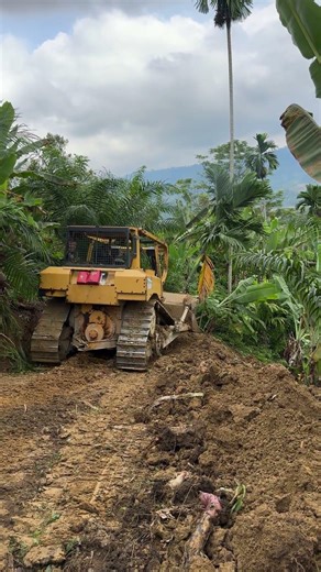 D6R XL Bulldozer Superior for Plantation Peatland Terrain