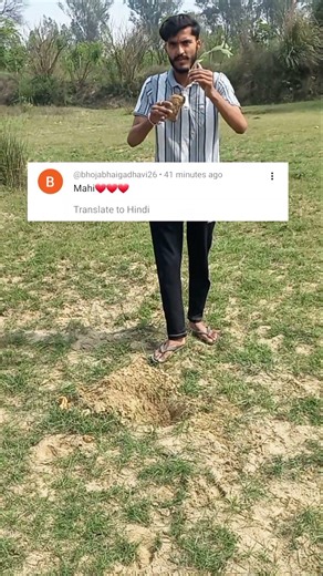 Day - 75 🌳 , #plants #tree #nature #saveplanet #saveenvironment #savenature #savetrees #planting