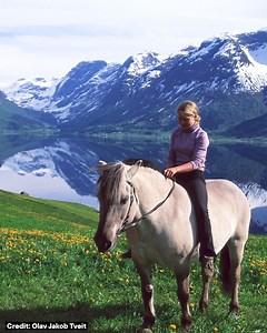 Dreaming about horse riding in Norway.🐎 | Visit Norway