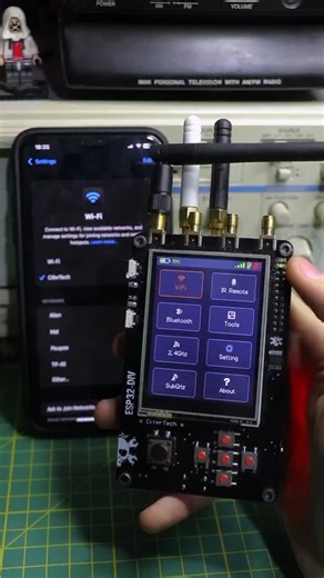 Pakistani Hacker Exploits Cybersecurity Flaws