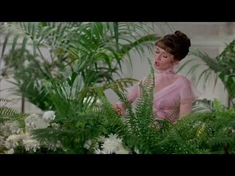 My Fair Lady - Without You