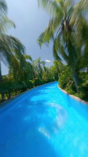 Vive las Mejores Experiencias en El Rollo