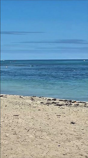 Natadola Beach, Fiji is the most perfect beach I have ever seen 🌊🌴 #shorts