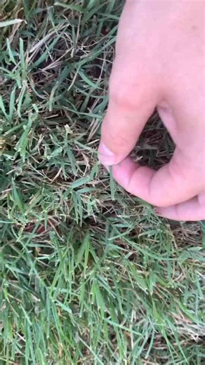 The Hidden World Under the Microscope