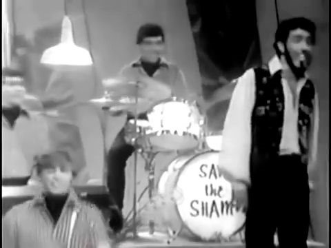481K views · 21K reactions | Sam the Sham and the Pharaohs - Li'l Red Riding Hood (1966) | The 1950s/Early 1960s Music & Memories | Facebook