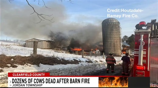 Dozens of cows are dead after a barn fire in Clearfield County on Tuesday. County dispatchers confirmed that the fire broke out at a barn along the 500 block of Blackburn Road, in Jordan Township, just before 4 p.m. The Irvona Deputy Fire Chief says that firefighters were able to rescue 15 cows from the barn, unharmed, but another 35 perished in the blaze. Officials say that while the barn was insured it was destroyed by the flames. The deputy fire chief adds that a State Police Fire Marshal has