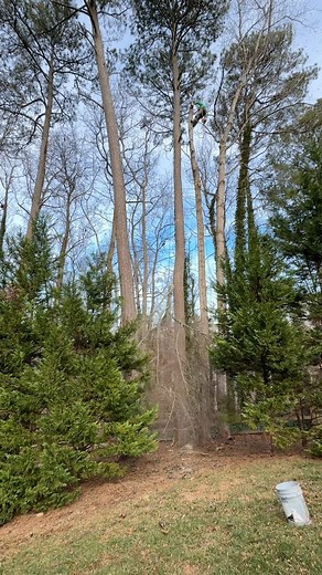  Tree Service project in  Marietta, GA . Call us for a free estimate ☎️(678) 457-3487 ☎️(678) 677-9102 . . . #trees #treeremoval #treework #arborist #tree #stihl #stumpgrinding #treecare #landscaping #treetrimming | Jireh Tree Services & Landscaping | Facebook