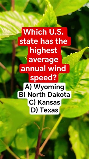 Which U.S. state has the highest average annual wind speed?