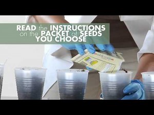 Using your Phototron Step 3: Preparing the Germination Cups and Planting seeds.