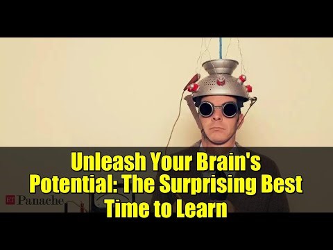 Unleash Your Brain's Potential: The Surprising Best Time to Learn
