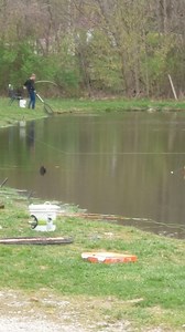 83K views · 913 reactions | Berea ky fishing | Reids Paylake | Facebook