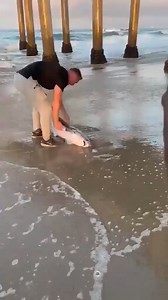 real hero | Dashama Konah