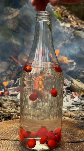 Best Way to Remove a Hot Glass Bottle from a Campfire. #camping #outdoors #skills