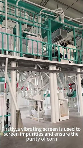 120 TPD Maize Flour Mill | 120T/24H Maize Meal Machine | High-Efficiency Milling Equipment
