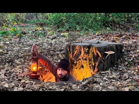 Guide to Building a Forest Survival Shelter and Living in the Wild