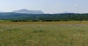 Stewardship and Resilience: Preserving the Blackfeet Nation's Land and Culture | Natural Resources Conservation Service