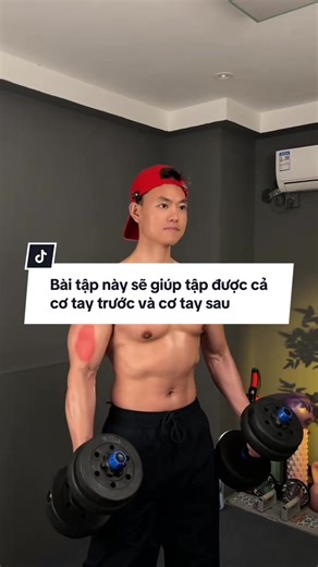 Bài Tập Tăng Cường Bắp Tay Hiệu Quả