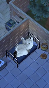 78K views · 1.7K reactions | Survivalist cats are back! #ldoe #cat #memes | Last Day on Earth | Facebook