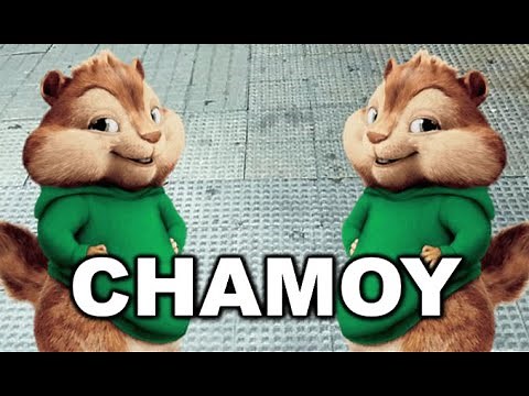 CHAMOY official theme. *meme*