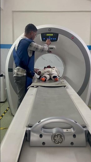 Ct Scan Of Child Brain