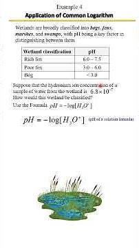 Application of Common Logarithms in Real Life: pH and Hydronium Ion Concentration, Example 4