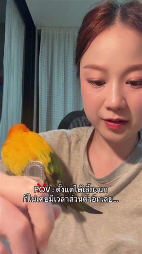 ให้ภาพมันเล่าเรื่อง…. 🥶 #น้องมะม่วงนกไม่มีลิ้น #น้องมะม่วงสุกของแม่