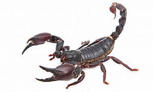 How to take the sting out of inheritance tax and save your family