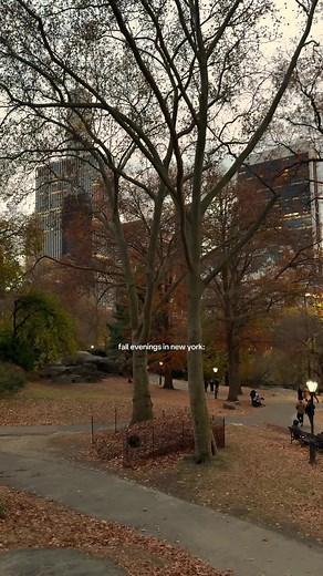 pov: it’s a quiet, cozy evening in central park and the leaves are falling 🍂 nights like these are almost here 🤎🥹 #nycfall #centralpark #autumninnewyork