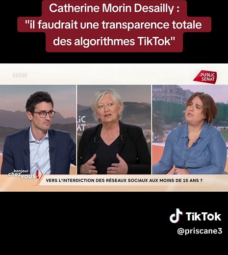 La sénatrice Catherine Morin-Desailly, centriste de Seine-Maritime et rapporteure du projet de loi sur les réseaux sociaux, partage son expertise et son analyse des plateformes numériques, de leurs usages et de leurs potentiels abus. La loi visant à interdire les réseaux sociaux aux moins de 15 ans pourra-t-elle entrer en vigueur pour la rentrée scolaire prochaine ? Catherine Morin-Desailly explique que le calendrier ultérieur dépendra du temps que la Commission européenne consacrera à l’examen