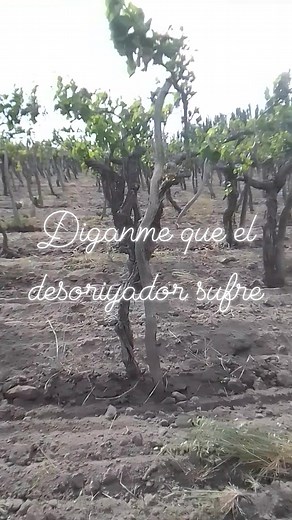 Angel Gonzalez on Reels