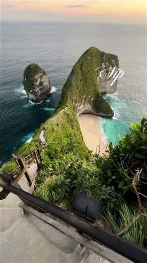 Credit Repair Services