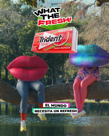 12K views · 252 reactions | No te vayas... a regresar, es tiempo de empacar y darle un refresh a tu mundo. #WhatTheFresh | Trident | Facebook