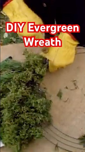 How to Prune Evergreens for Christmas Decor + DIY Wreath Tutorial