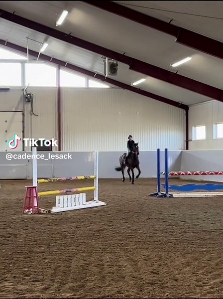 did not in fact do it in a steady 6 #fyp #equestrian