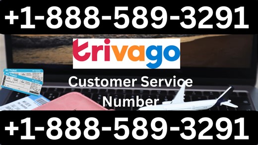 Trivago® Customer Service Complete Guide = Step-by-Step Help & Support 24/7 Trivago