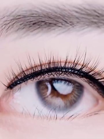 Honlley Halloween Sally & Corpse Bride Makeup Kit Costume Women - Light Blue Water-Based Face Paint Washable, Red Lip Stick, Black Eyeliner, False Lashes,White Eyeshadow | Cosplay Party SFX Makeup Set