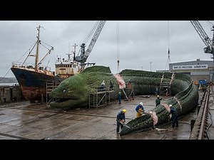 Giant 3,300 lb Green Moray Eel Caught in Insane Deep Sea Fishing