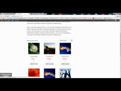 How to set up permalinks for your products in Woocommerce