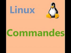introduction to linux commands the most used in Linux
