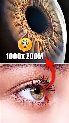 1000x Zoom Of The Human Eye 😱